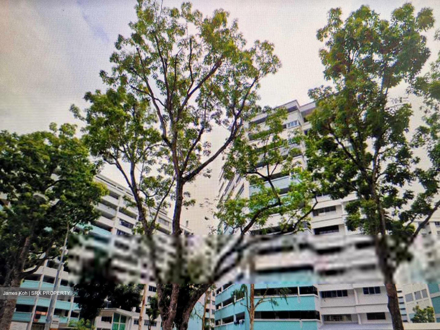 Blk 239 Serangoon Avenue 2 (Serangoon), HDB 4 Rooms #311299621